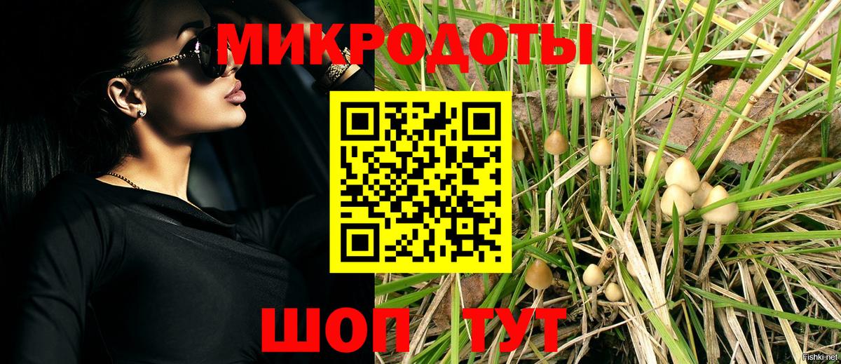 Галлюциногенные грибы Magic Shrooms Бийск
