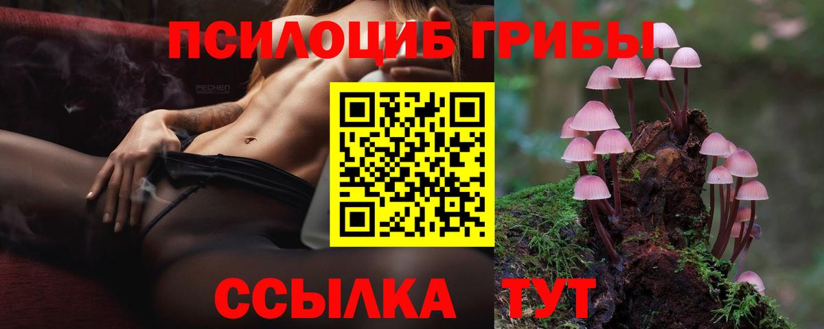 Псилоцибиновые грибы мухоморы  Галлюциногенные грибы мухоморы  Вход с VPN  Бийск 